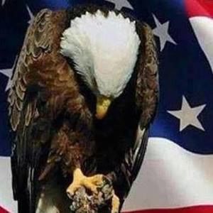 Meet your Posher, Pauline